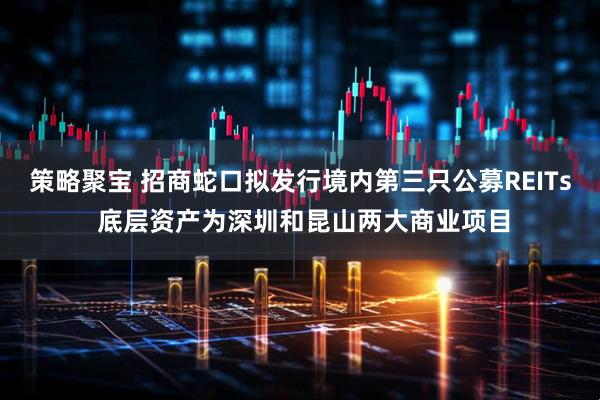 策略聚宝 招商蛇口拟发行境内第三只公募REITs 底层资产为深圳和昆山两大商业项目