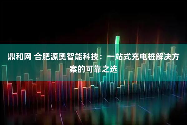 鼎和网 合肥源奥智能科技：一站式充电桩解决方案的可靠之选
