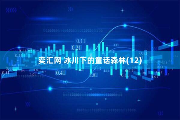 奕汇网 冰川下的童话森林(12)