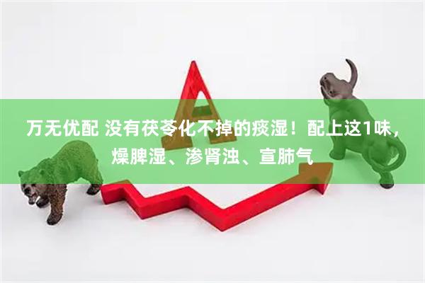万无优配 没有茯苓化不掉的痰湿！配上这1味，燥脾湿、渗肾浊、宣肺气