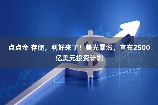 点点金 存储，利好来了！美光暴涨，宣布2500亿美元投资计划