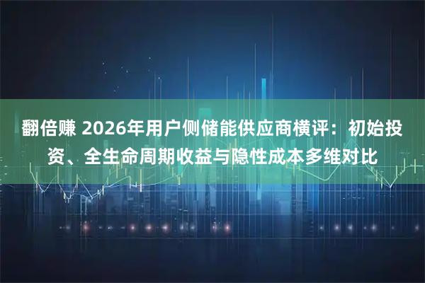 翻倍赚 2026年用户侧储能供应商横评：初始投资、全生命周期收益与隐性成本多维对比