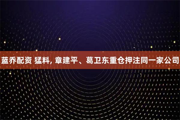 蓝乔配资 猛料, 章建平、葛卫东重仓押注同一家公司